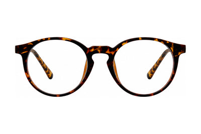 Accord Eyeglasses