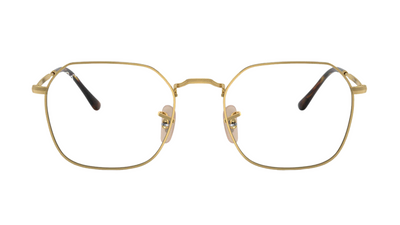 Ray-Ban RB3694V