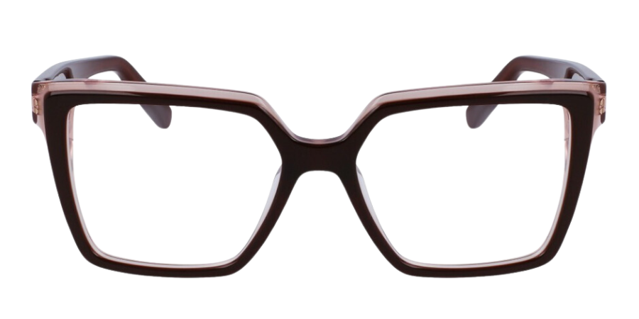 Salvatore Ferragamo SF2950N