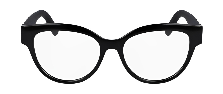 Salvatore Ferragamo SF2957EN