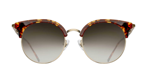 Tortoise/ Bronze (Dem)