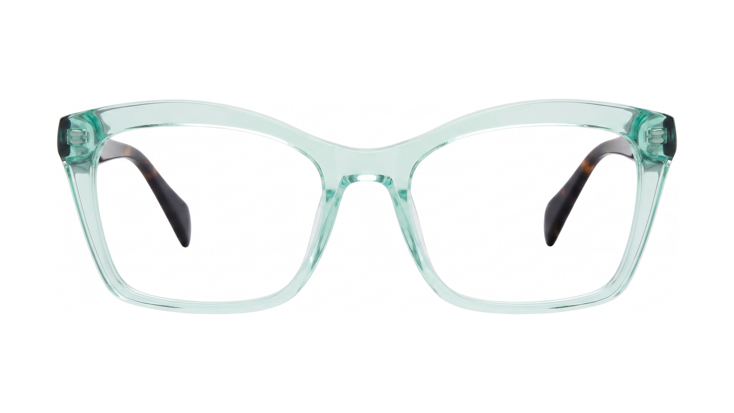 Fabiana Eyeglasses - Mint Cry/Tortoise