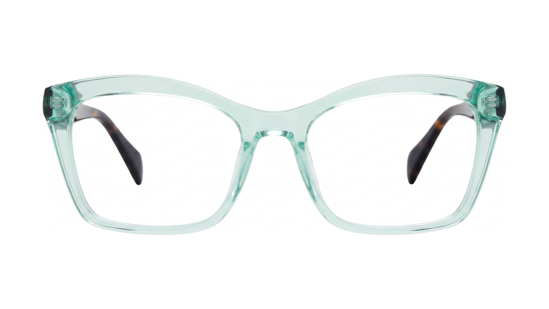 Fabiana Eyeglasses - Mint Cry/Tortoise