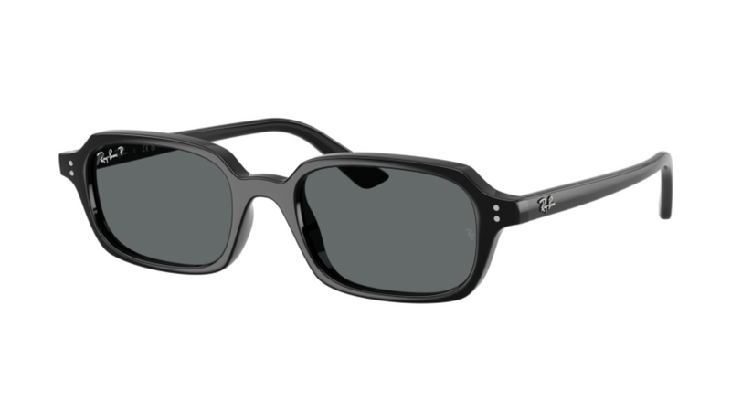 Ray-Ban RB4455