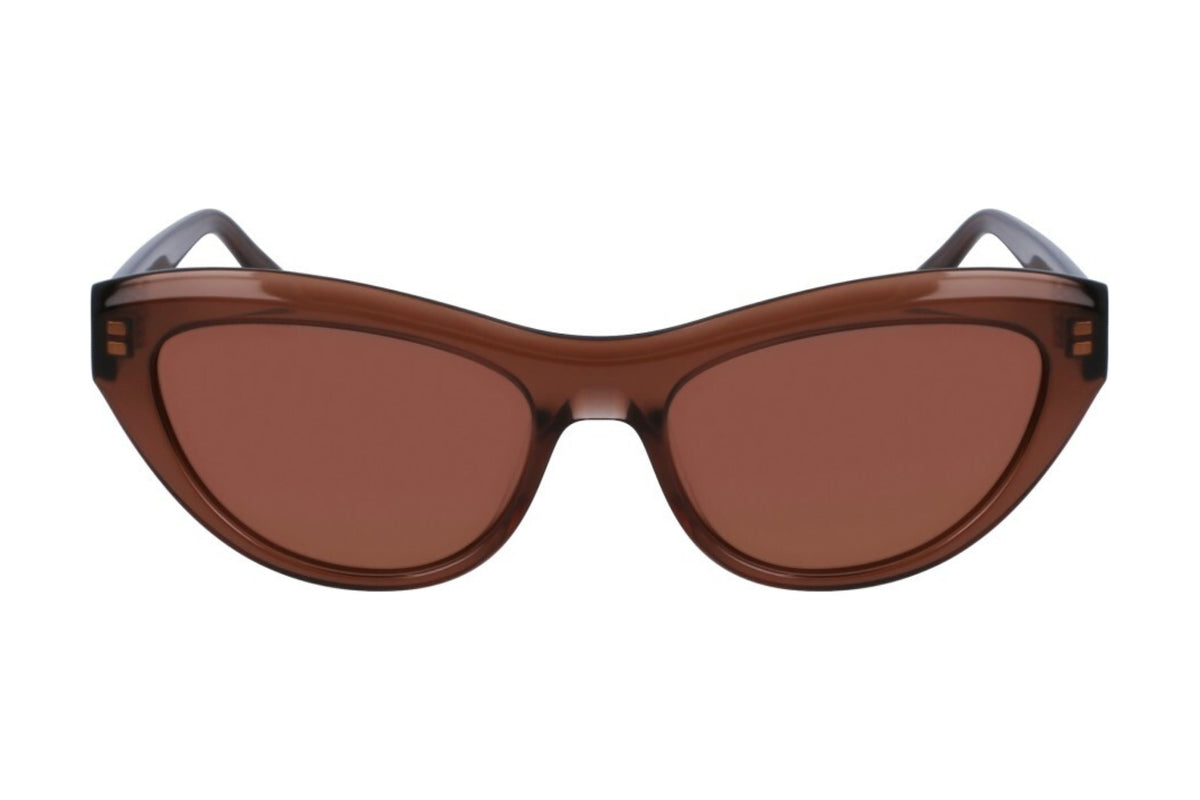 Salvatore Ferragamo SF1103S Large / Transparent brown (232)