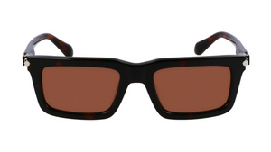 Dark Tortoise (242)