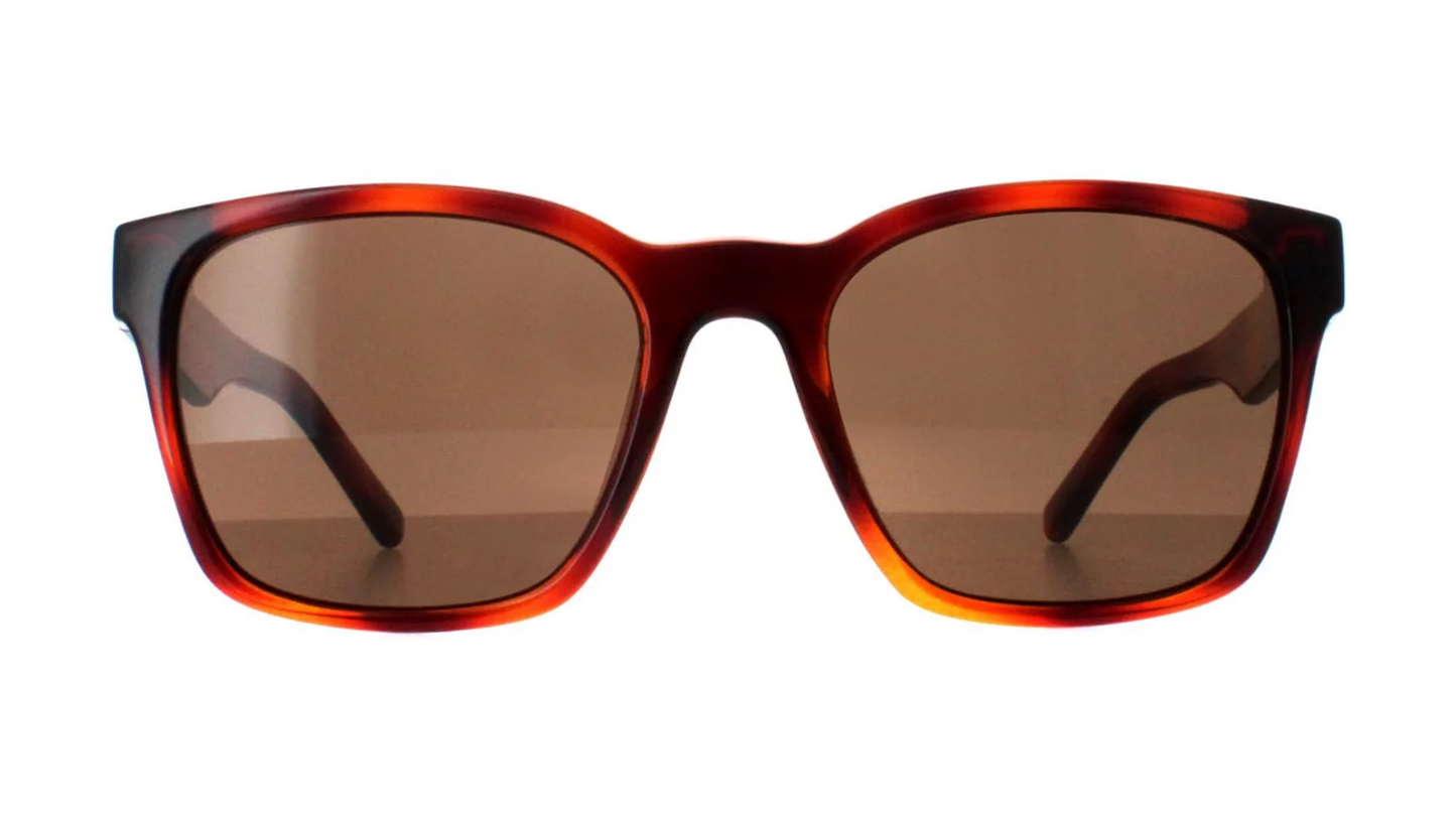 Salvatore Ferragamo SF959S - Tortoise Brown (214)