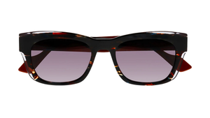 Dark Coco Wood Tortoise (2215)