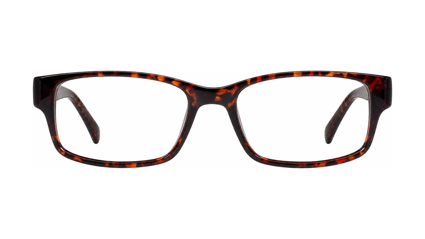 Slick Eyeglasses - Tortoise / 57-17-150