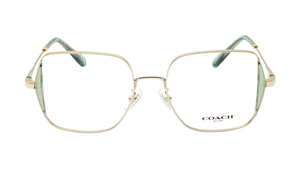 Shiny Light Gold (9429)