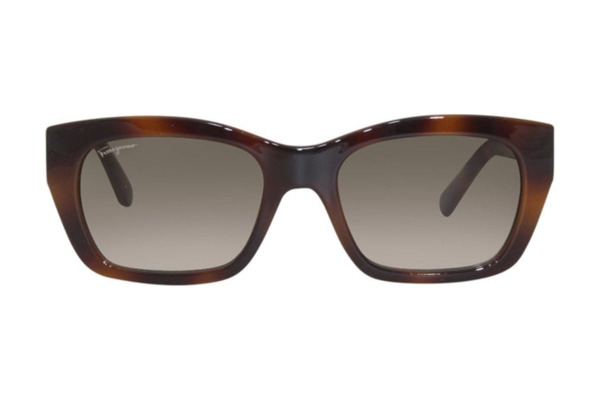 Salvatore Ferragamo SF1012S Medium / Tortoise (214)