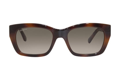 Salvatore Ferragamo SF1012S Medium / Tortoise (214)