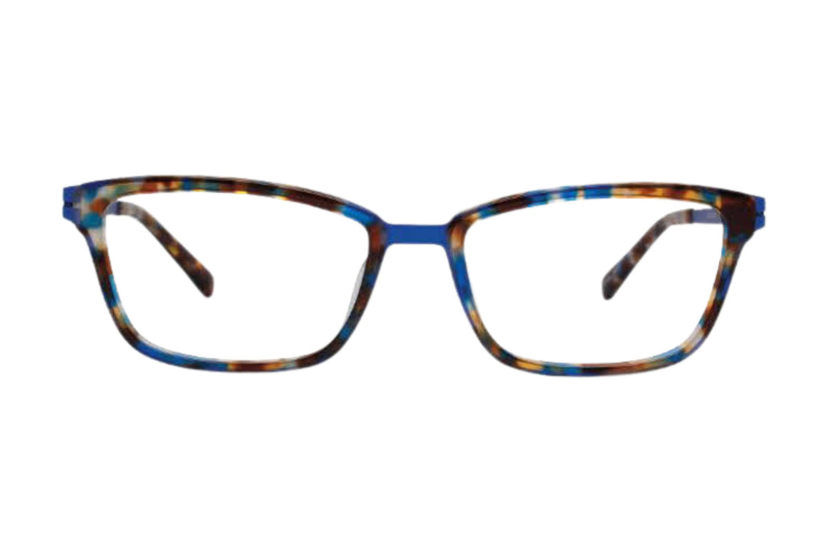 MODO 4500 Small / Blue Tortoise (BLUTT)