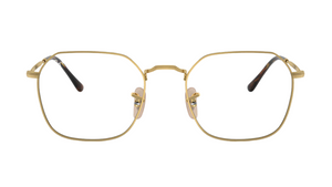 Ray-Ban RB3694V