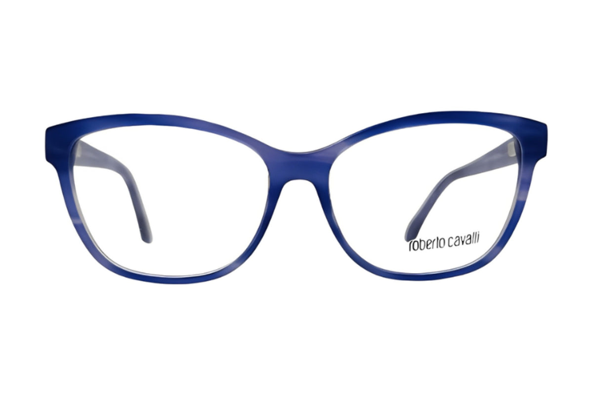 Roberto Cavalli RC970 Large / Purple/Blue