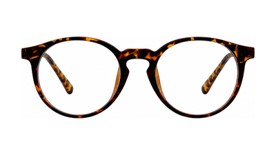 Accord Eyeglasses