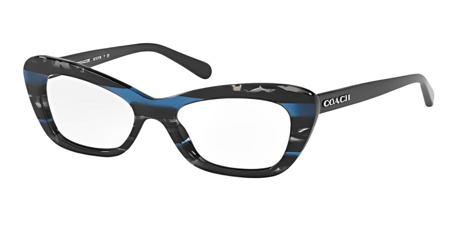 Coach HC 6108