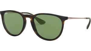 Ray-Ban ERIKA RB4171