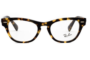 Ray-Ban LARAMIE RB2201-V