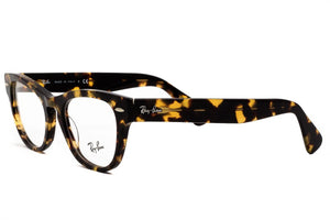 Ray-Ban LARAMIE RB2201-V