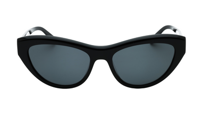 Salvatore Ferragamo SF1103S