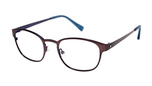 Brown/Blue (BWN)
