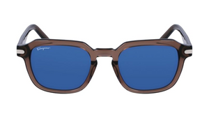 Transparent Smoke Brown (232)