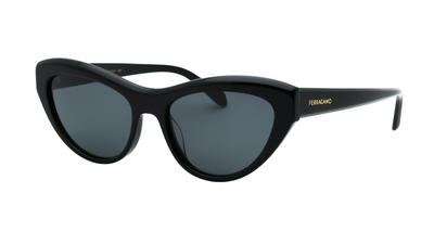 Salvatore Ferragamo SF1103S