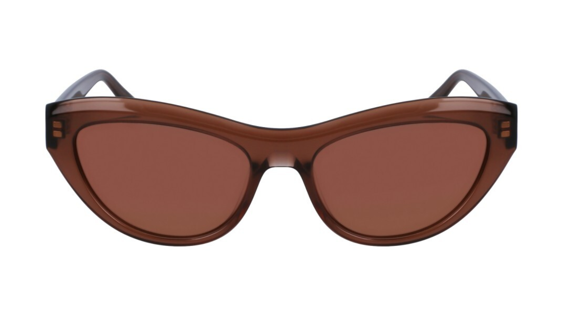 Salvatore Ferragamo SF1103S - Transparent brown (232)