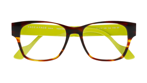 Blaze Tortoise (1199)