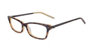 Tortoise Yellow (TTYLW)