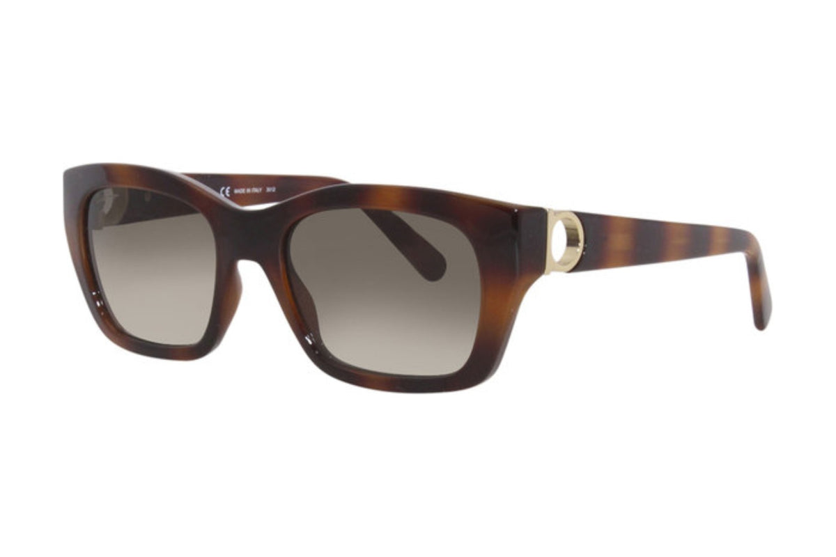 Salvatore Ferragamo SF1012S Medium / Tortoise (214) side