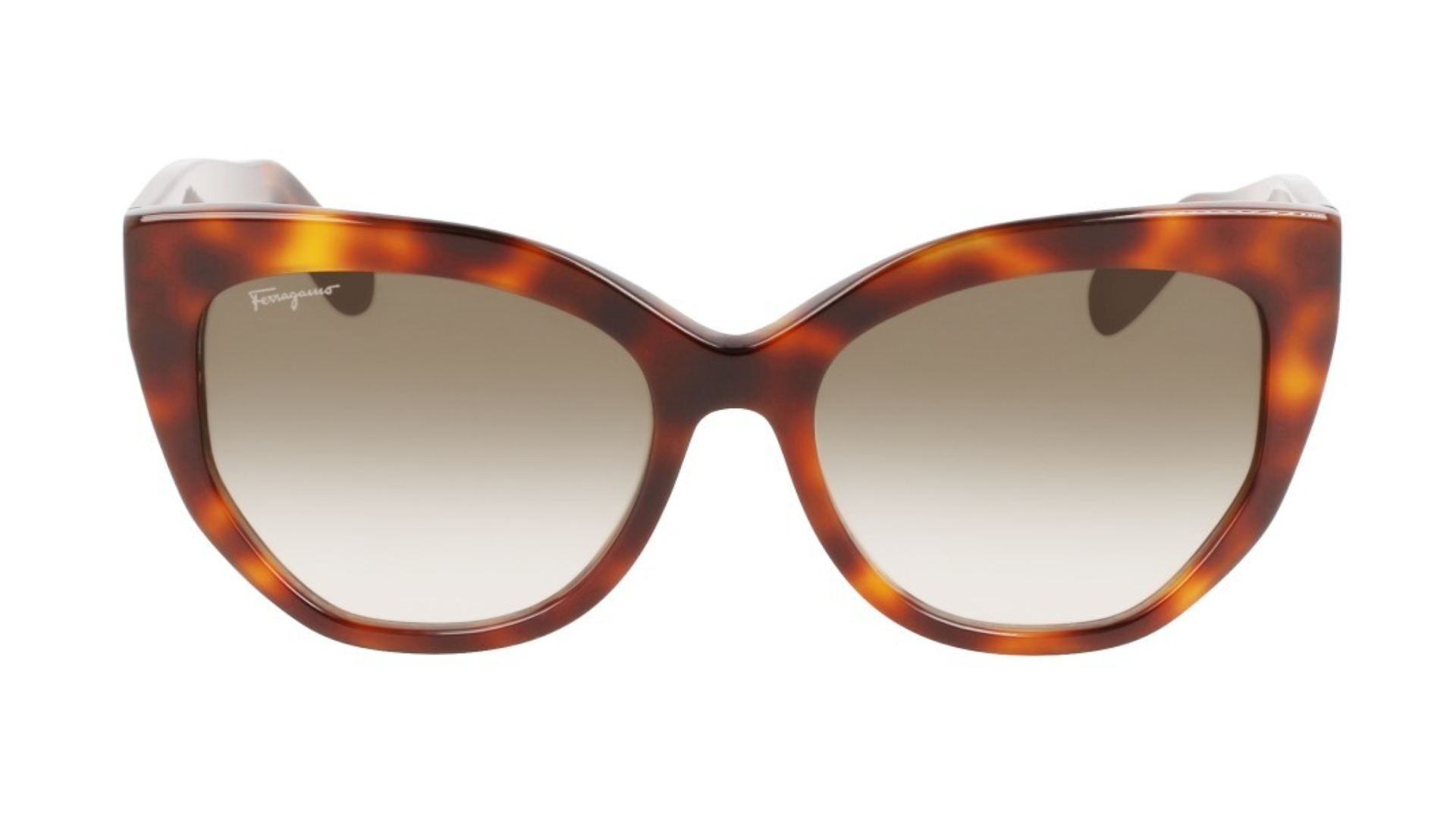 Salvatore Ferragamo SF1061S - Tortoise (240)