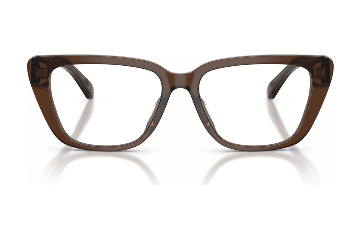 Emporio Armani EA3256U Shiny Transparent Brown (6251)