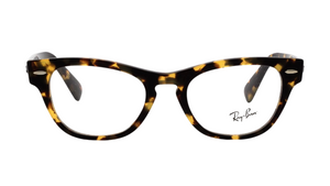 Ray-Ban LARAMIE RB2201-V