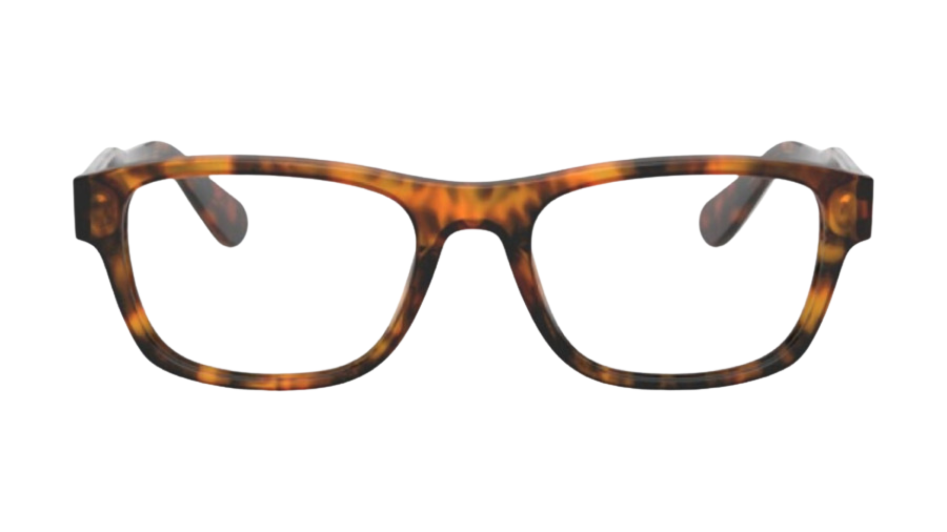 Polo Ralph Lauren PH 2213 - Jerry Tortoise