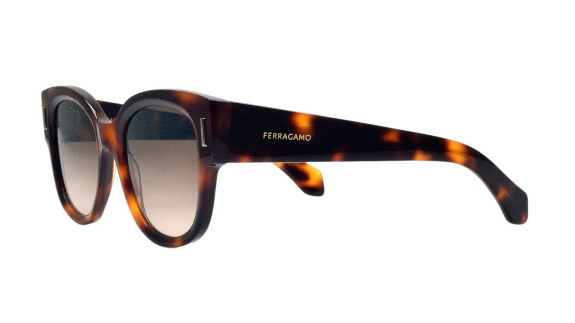 Salvatore Ferragamo SF2007S - Tortoise