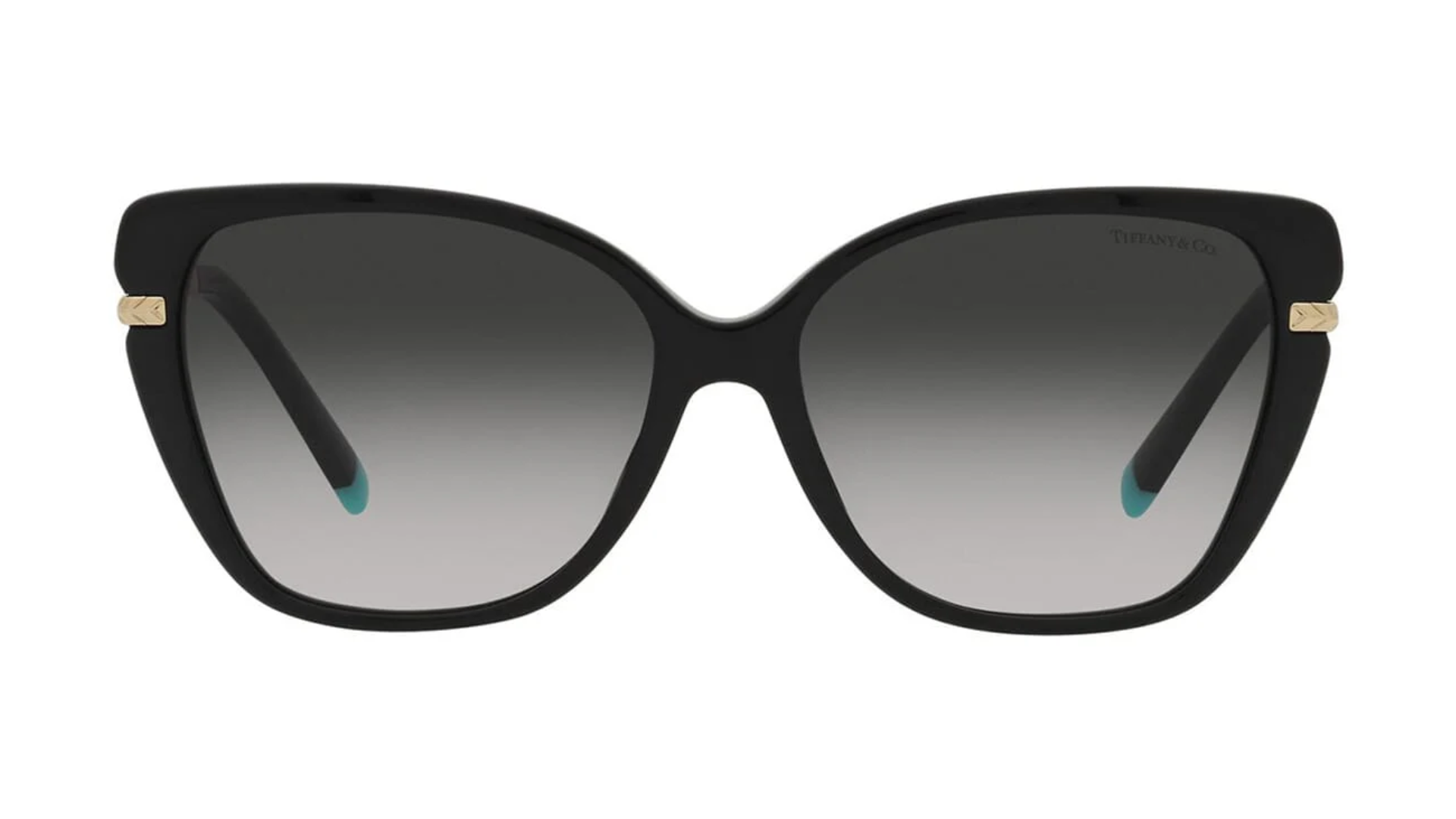 Tiffany & Co. TF 4190 - Black