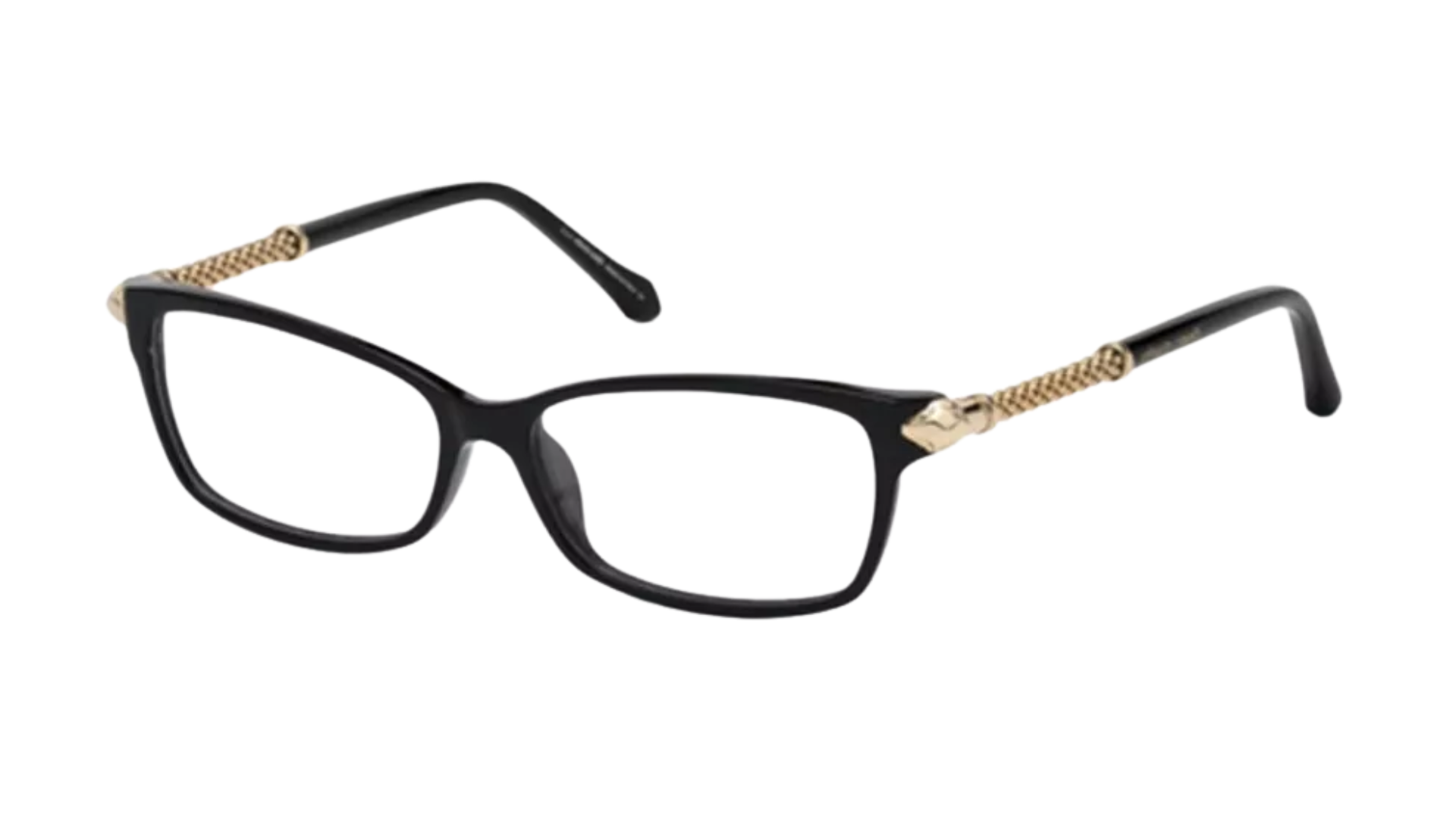 Roberto Cavalli BIENTINA 5020 - Black / Gold