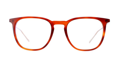 Lacoste L2828PC - Light Tortoise