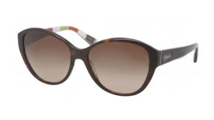 Dark Tortoise