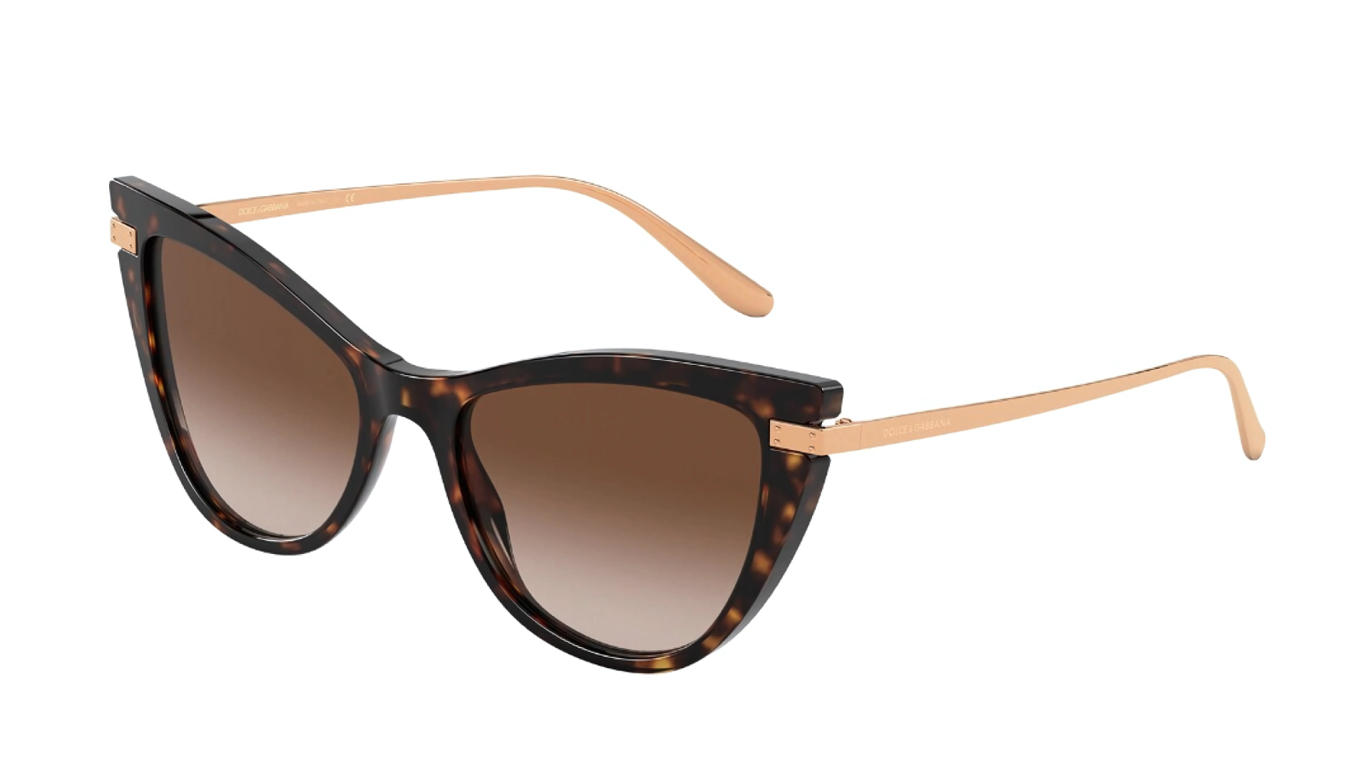 Dolce & Gabbana DG 4381 - Shiny Dark Havana