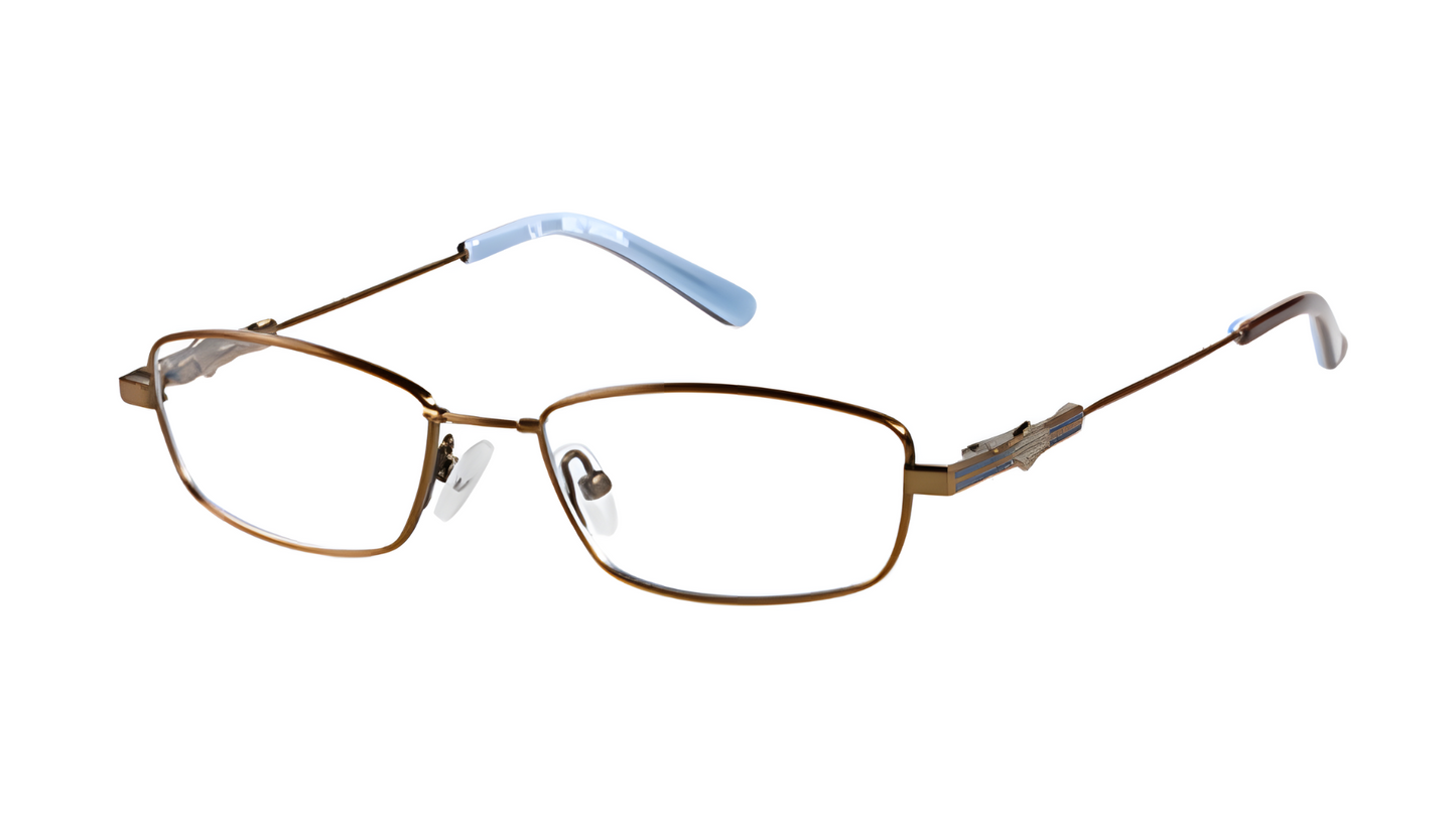 Harley Davidson HDT 108 - Brown