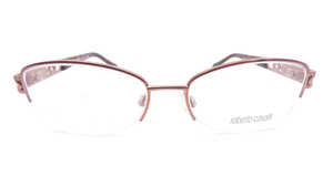 Shiny Copper Brown With Brown Tortoise`