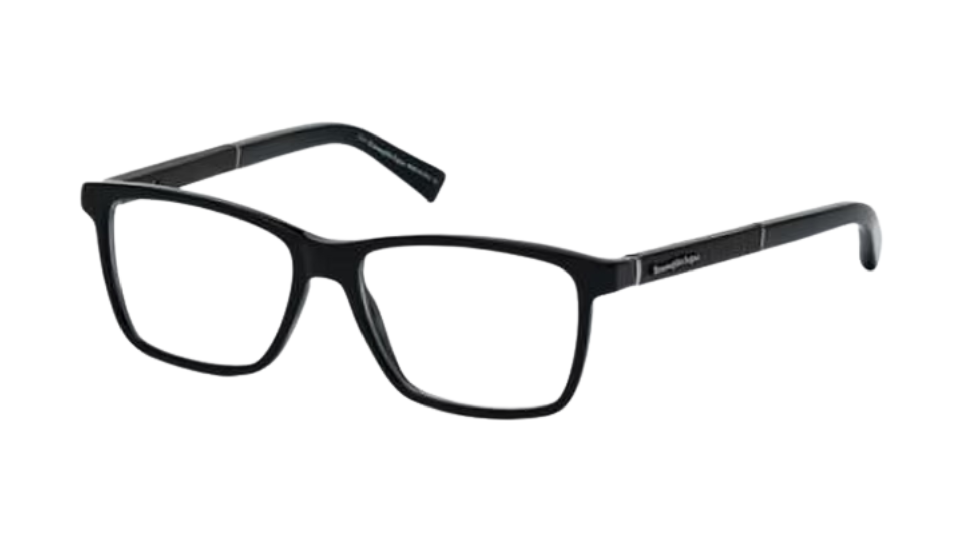 Ermenegildo Zegna EZ5012