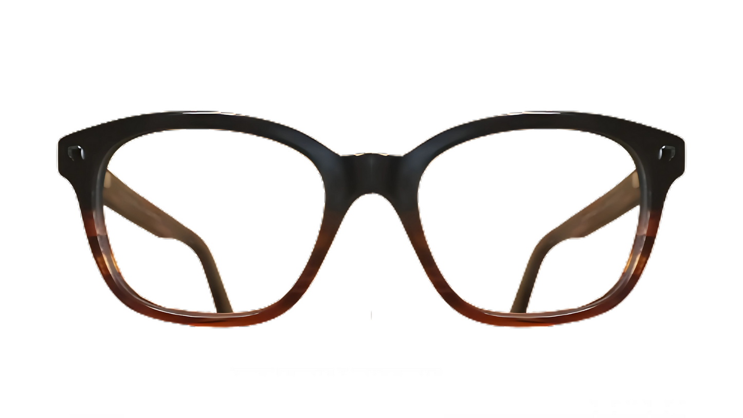 Dsquared2 DOVER DQ5175 - Brown