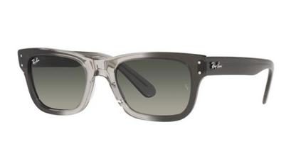 Ray-Ban MR BURBANK RB2283 - Brown