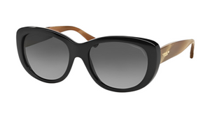 Coach HC 8083 (L071 DARCY)
