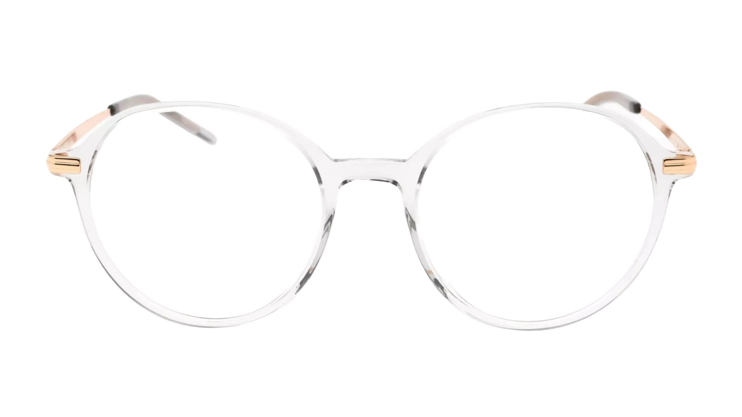 BOSS BOSS 1664 - Trasparent Grey Gold