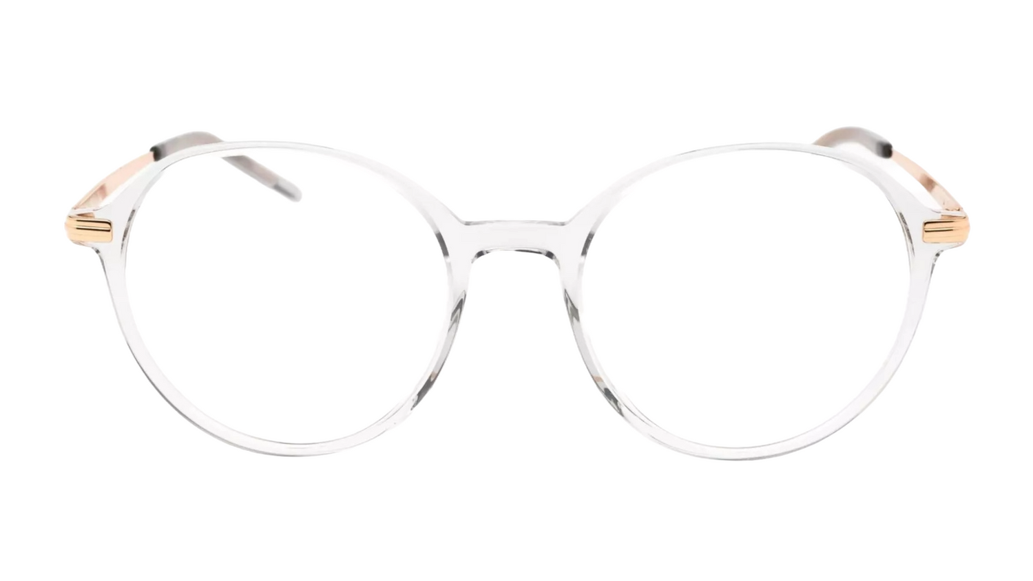 BOSS BOSS 1664 - Trasparent Grey Gold
